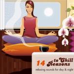 Cover von 14 Reasons To Chill Vol.1