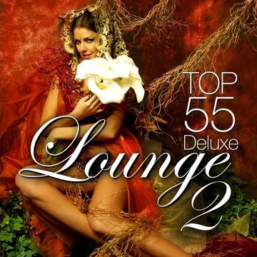 Cover von Lounge Top 55, Vol.2
